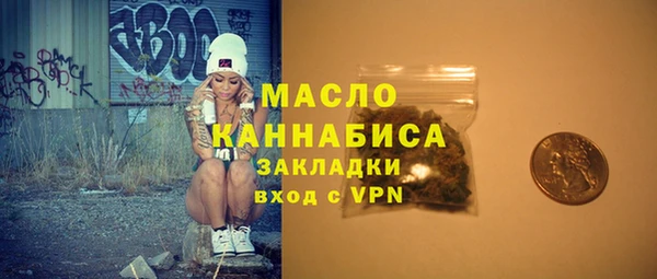 дмт Инсар