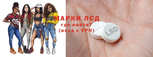 спайс Инта