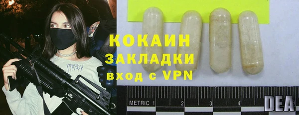 дмт Инсар