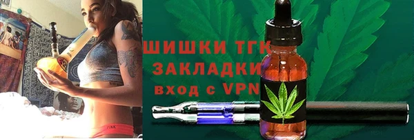 дмт Инсар