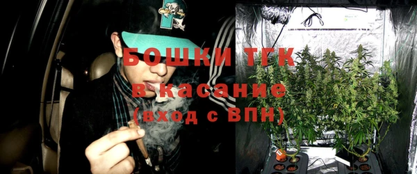 дмт Инсар