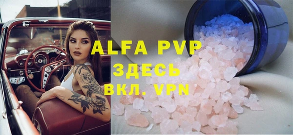 дмт Инсар