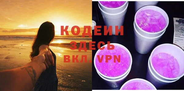 дмт Инсар