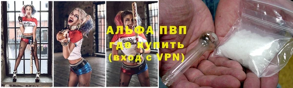 спайс Инта