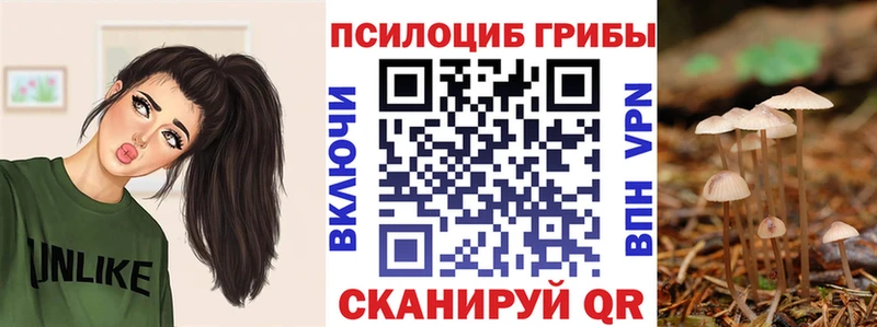 Купить закладки  Кимры  Псилоцибиновые грибы GOLDEN TEACHER 